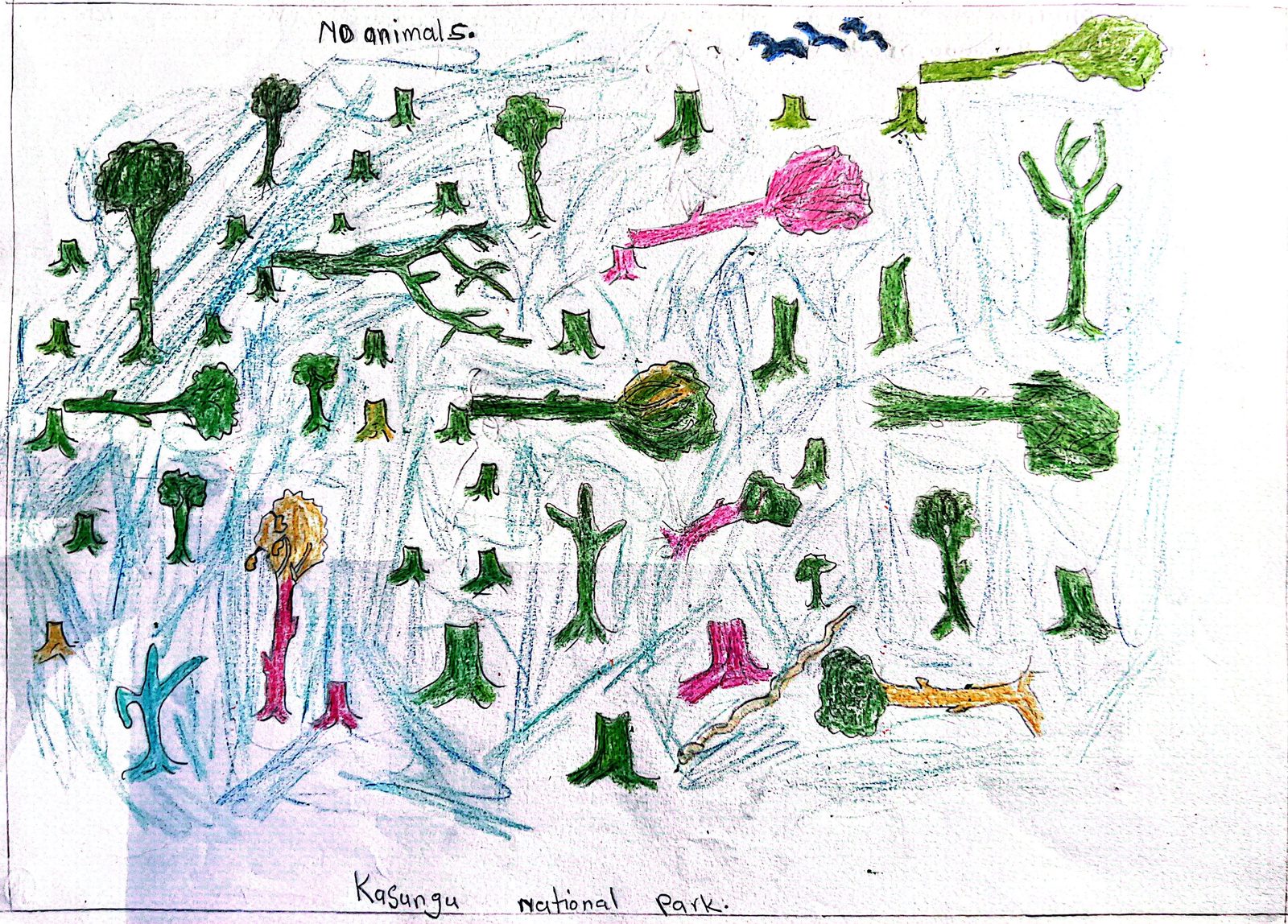 A child's drawing of Kasungu National Park showing only tree stumps and bare trees, titled 'No animals'